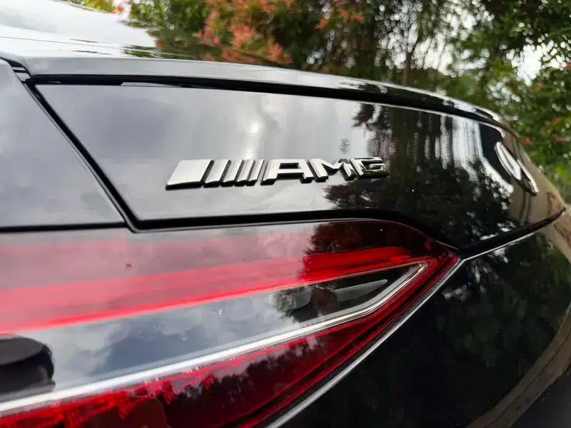 2024 AMG GT 53 4MATIC+ Coupe — миниатюра 11