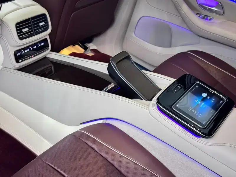 2022 Maybach GLS 600 4MATIC Elegance Edition — миниатюра 19
