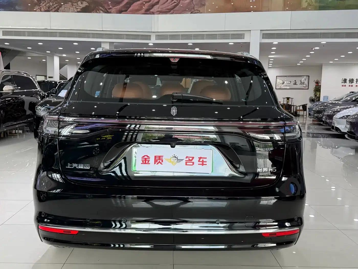2025 Shangjie H5 Extended Range Max — миниатюра 18
