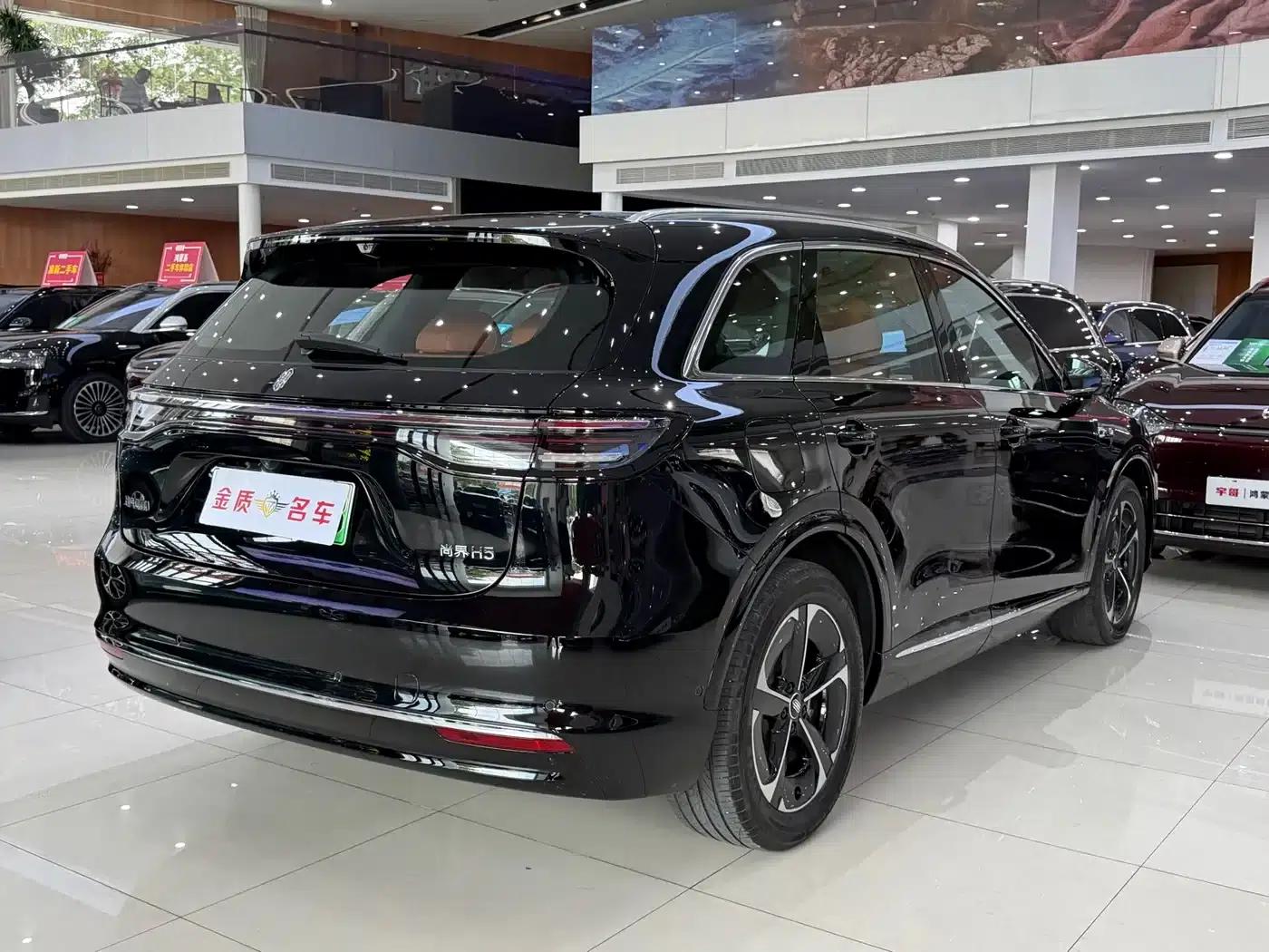 2025 Shangjie H5 Extended Range Max — миниатюра 19