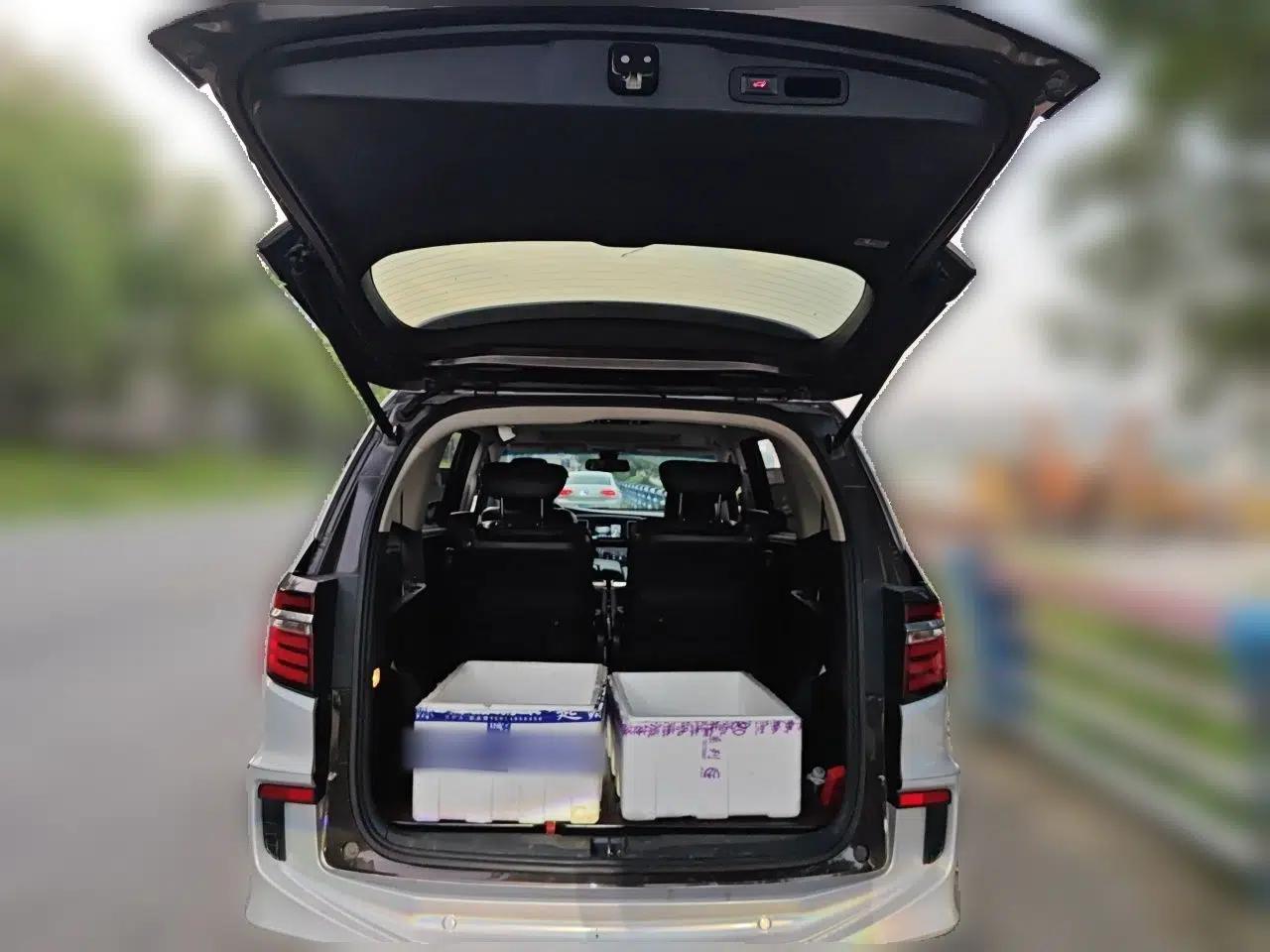 Honda Elysion 2016 2.4L Supreme Edition — миниатюра 19