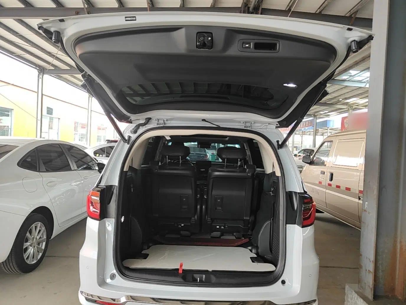 Honda Elysion 2024 2.0L eHEV Luxury Edition — миниатюра 22