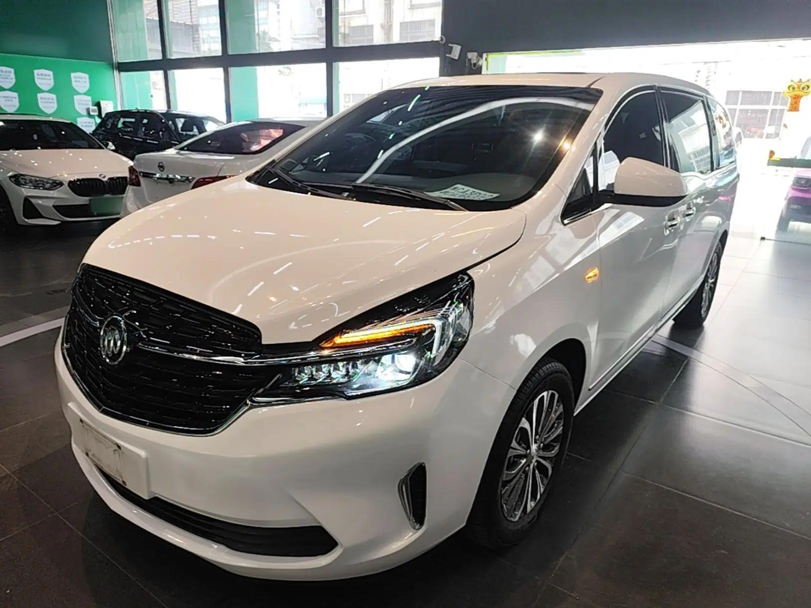 Buick GL8 2020 Land Business Class 652T Luxury Model — миниатюра 1