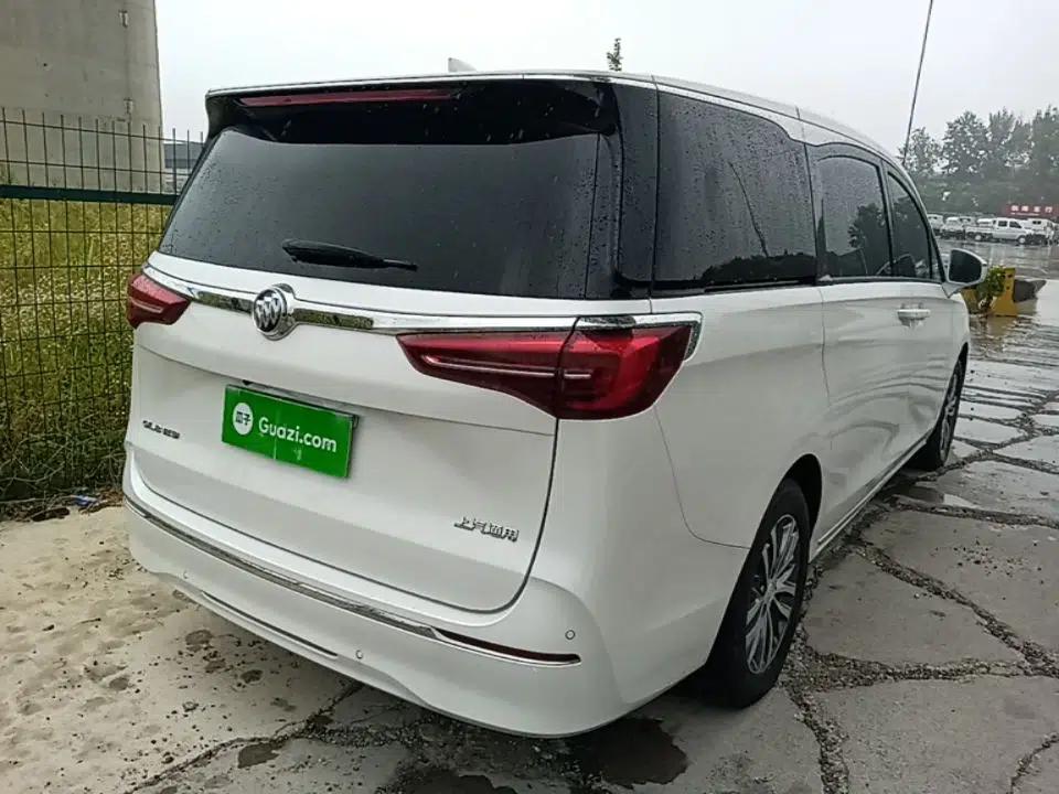 Buick GL8 2023 ES Lu Zun Comfort Model — миниатюра 6