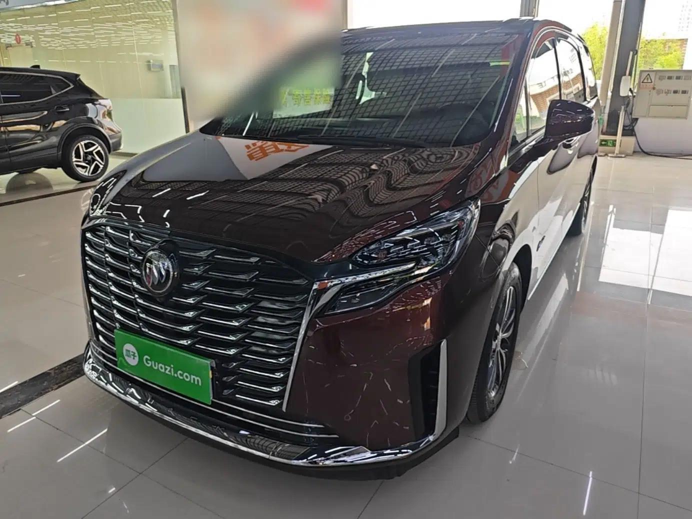 Buick GL8 2022 ES Landtrek 653T Luxury Edition — миниатюра 1