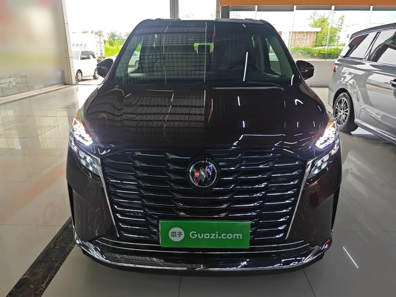Buick GL8 2022 ES Landtrek 653T Luxury Edition — миниатюра 2