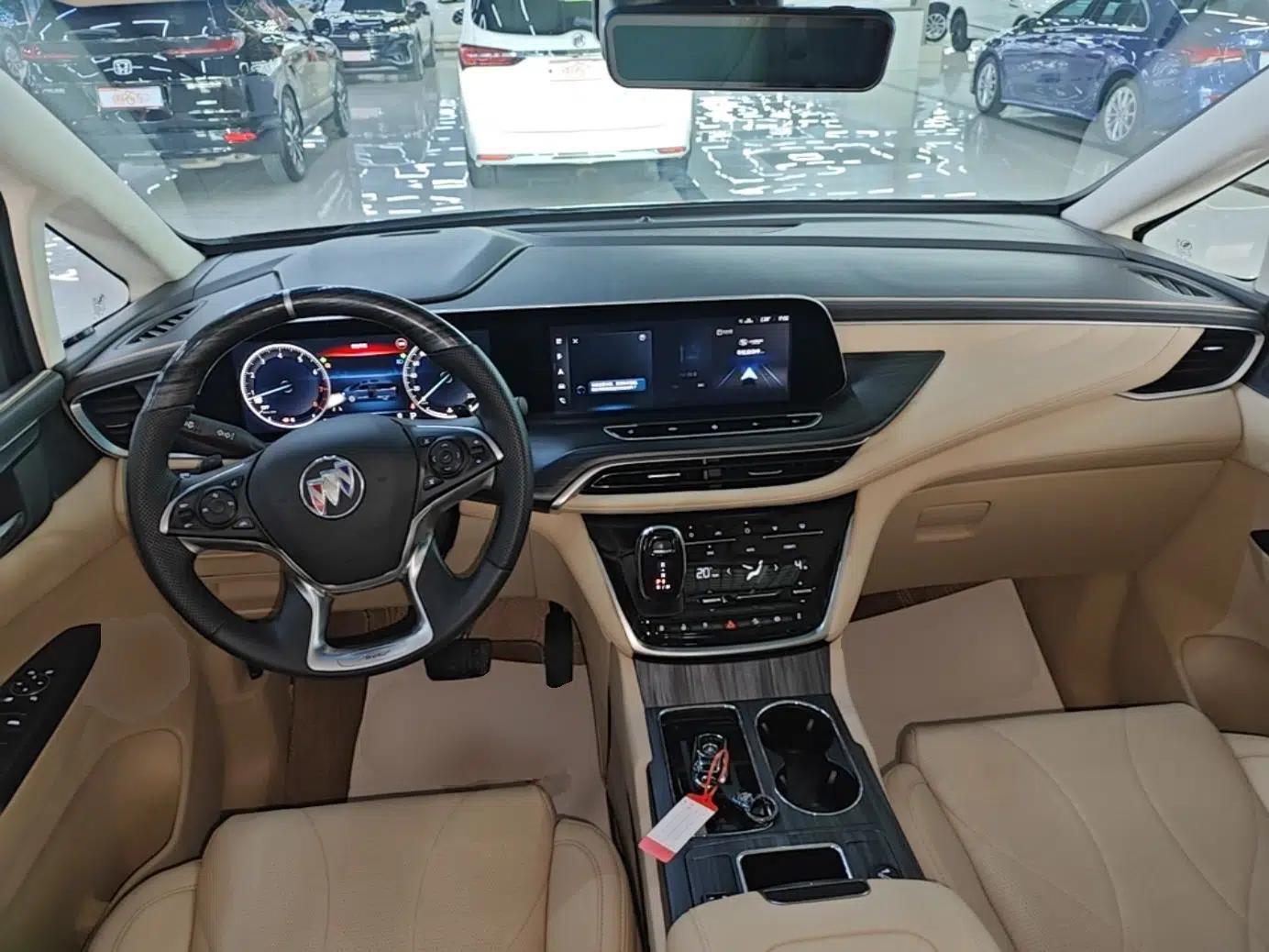 Buick GL8 2022 ES Landtrek 653T Luxury Edition — миниатюра 12