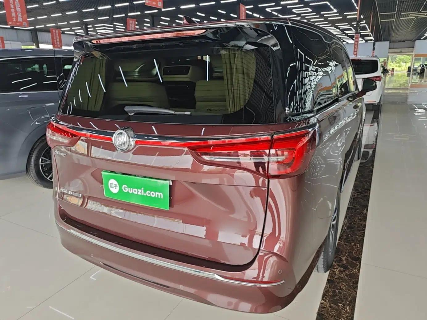 Buick GL8 2022 ES Landtrek 653T Luxury Edition — миниатюра 6