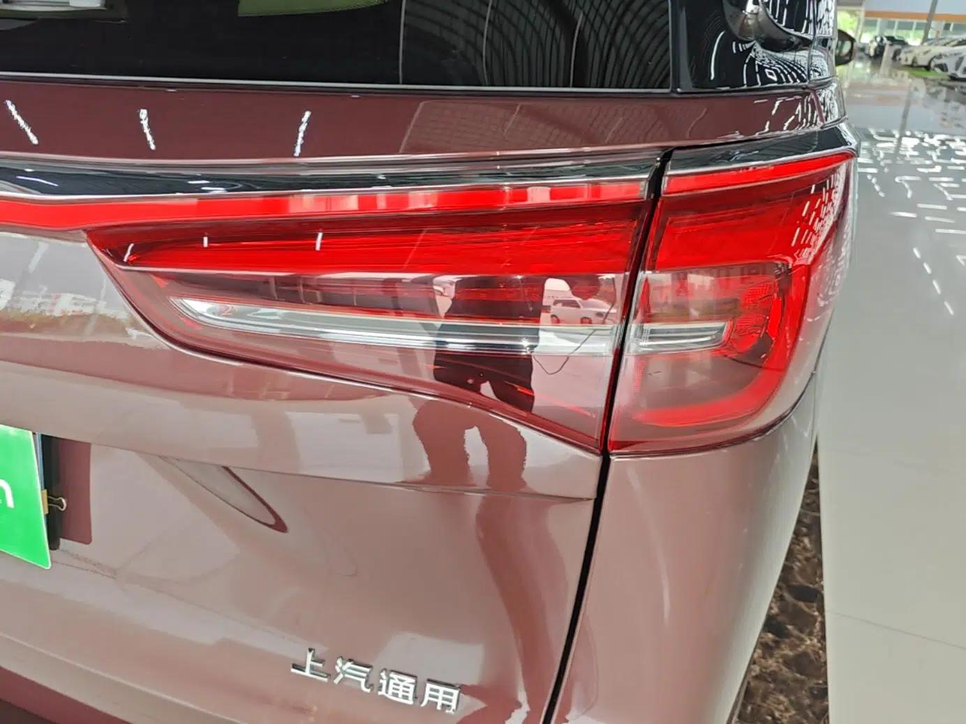 Buick GL8 2022 ES Landtrek 653T Luxury Edition — миниатюра 9