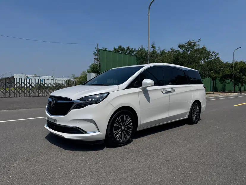 Buick GL8 2020 ES Land Cruiser 653T Luxury Model — миниатюра 1