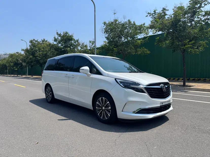 Buick GL8 2020 ES Land Cruiser 653T Luxury Model — миниатюра 14