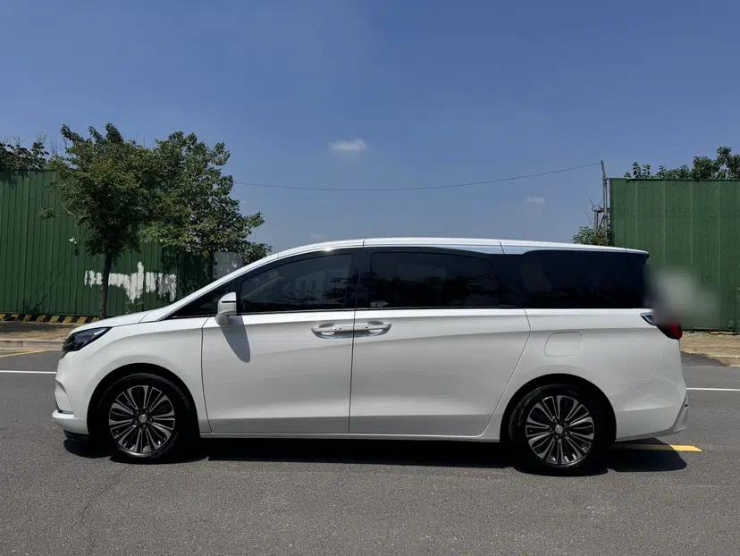 Buick GL8 2020 ES Land Cruiser 653T Luxury Model — миниатюра 15
