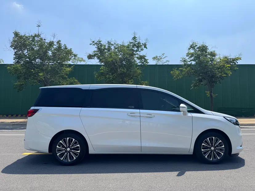 Buick GL8 2020 ES Land Cruiser 653T Luxury Model — миниатюра 18