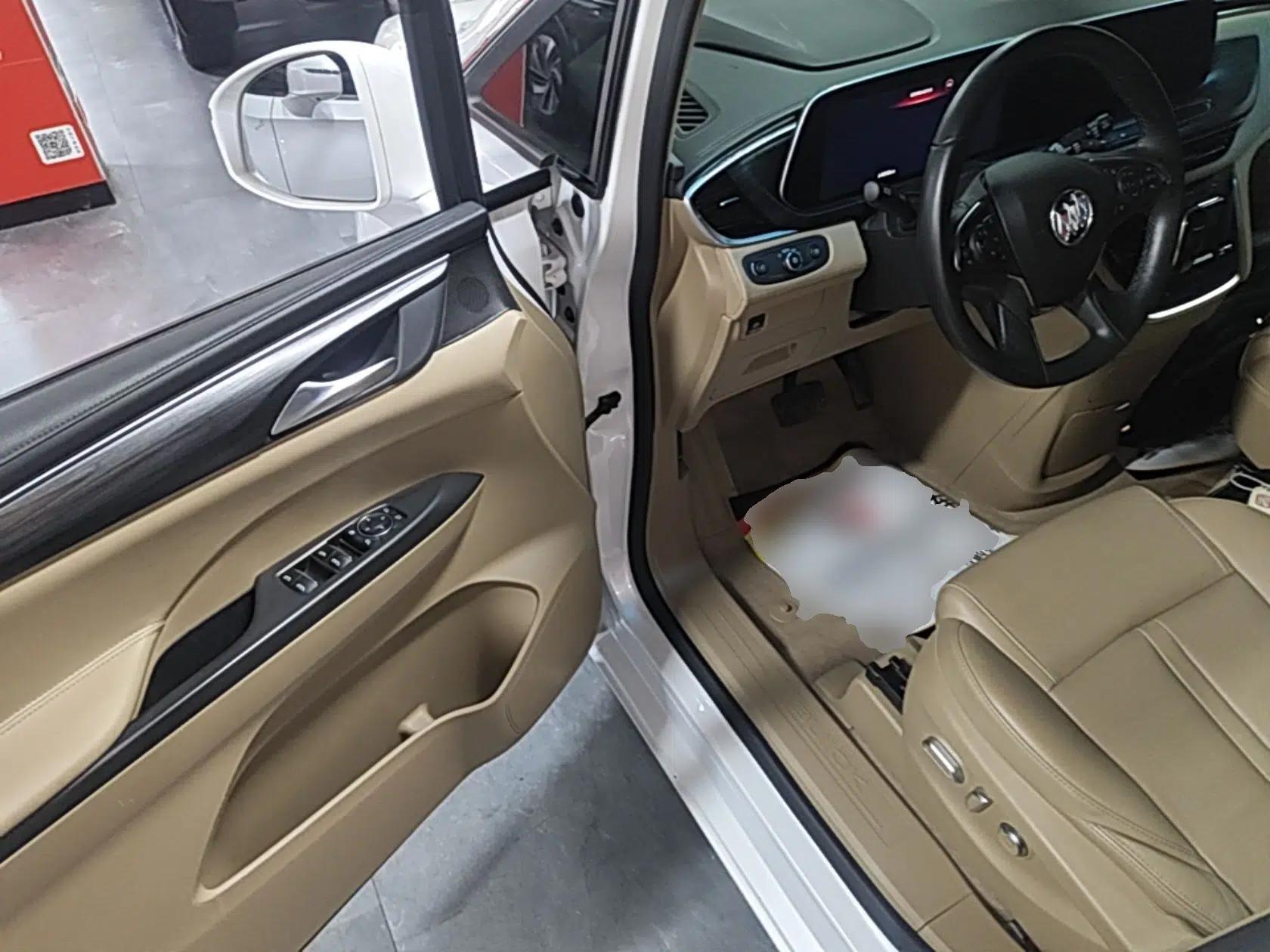 Buick GL8 2020 ES Land Cruiser 653T Luxury Model — миниатюра 18