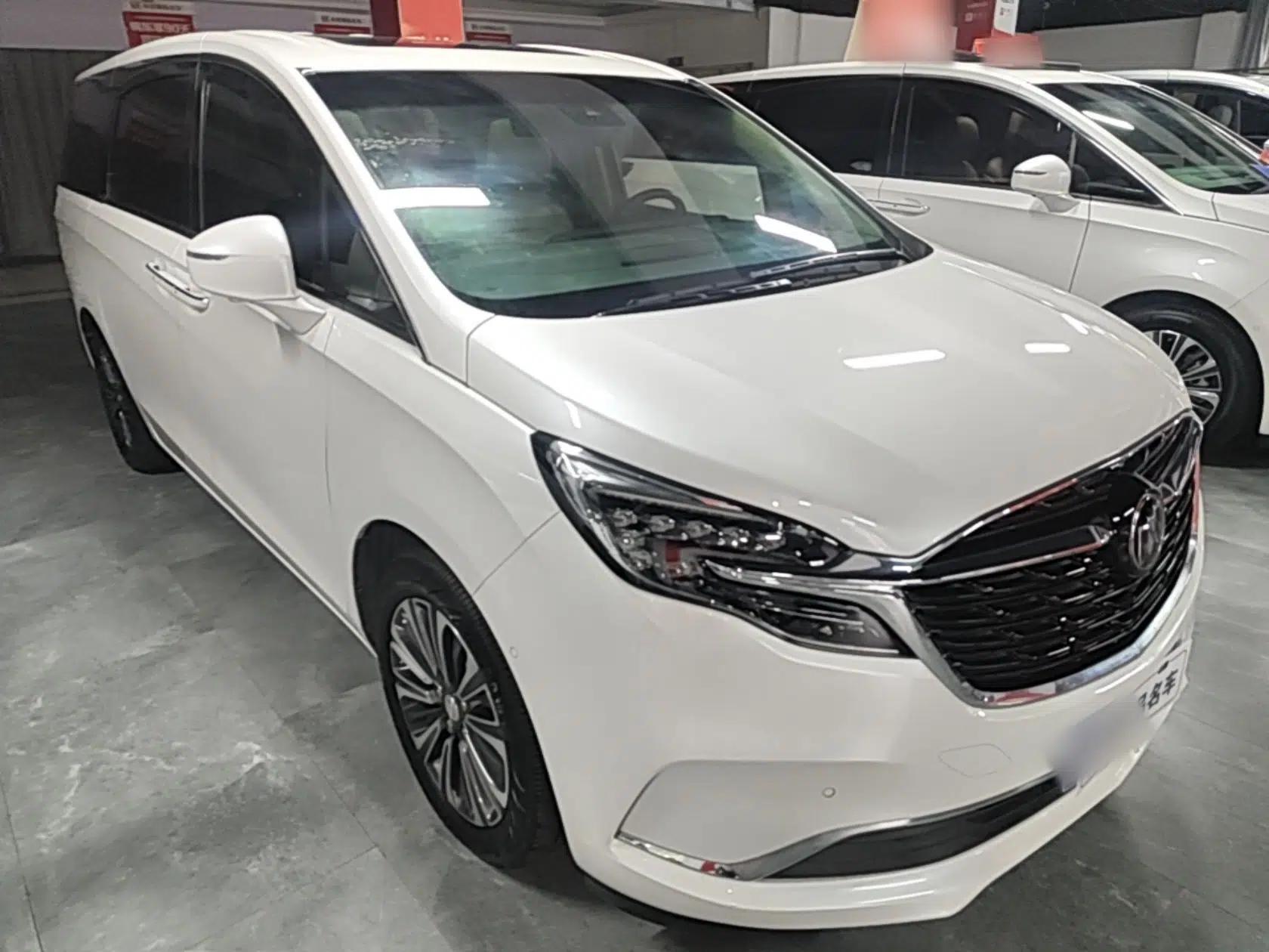 Buick GL8 2020 ES Land Cruiser 653T Luxury Model — миниатюра 3