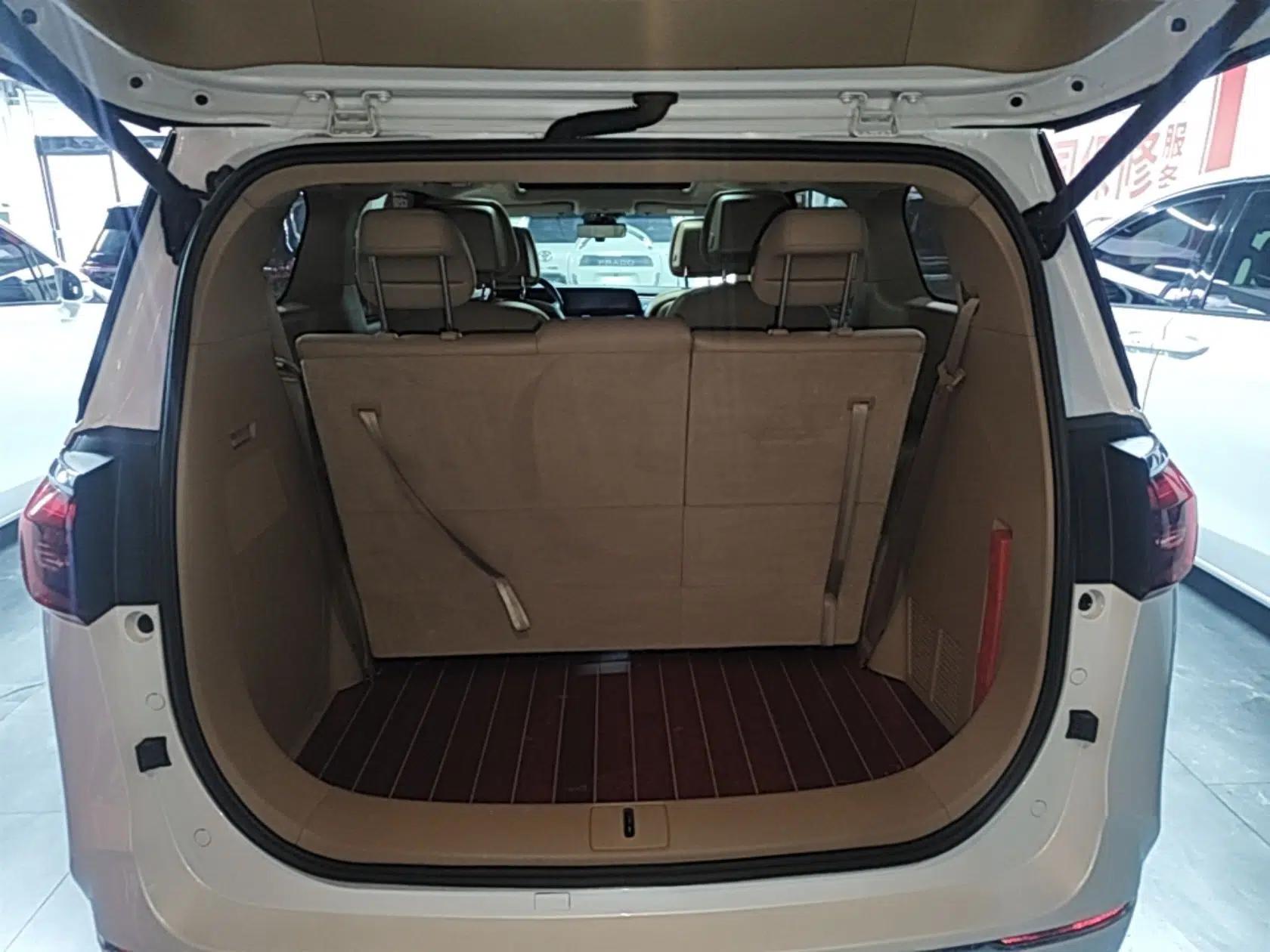 Buick GL8 2020 ES Land Cruiser 653T Luxury Model — миниатюра 22