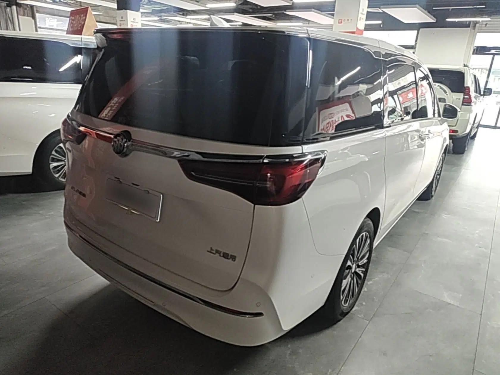 Buick GL8 2020 ES Land Cruiser 653T Luxury Model — миниатюра 6