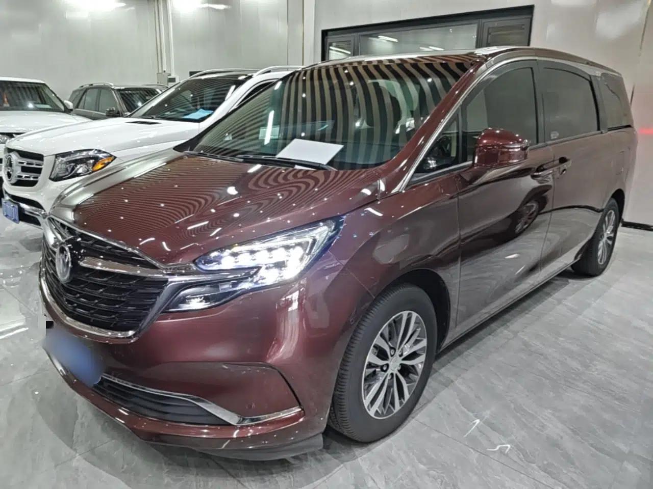 Buick GL8 2022 ES Landtrek 653T Luxury Edition — миниатюра 1