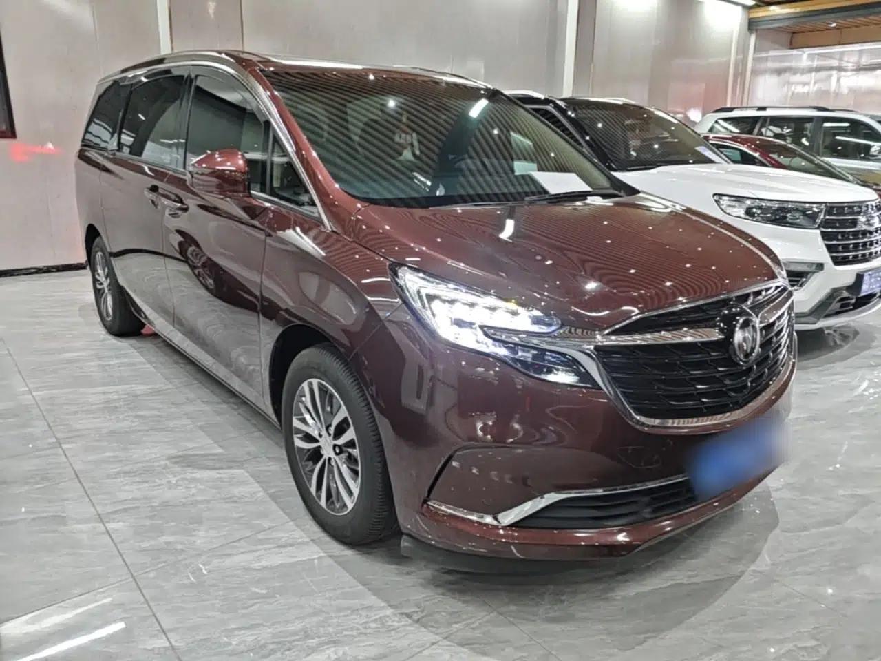 Buick GL8 2022 ES Landtrek 653T Luxury Edition — миниатюра 3