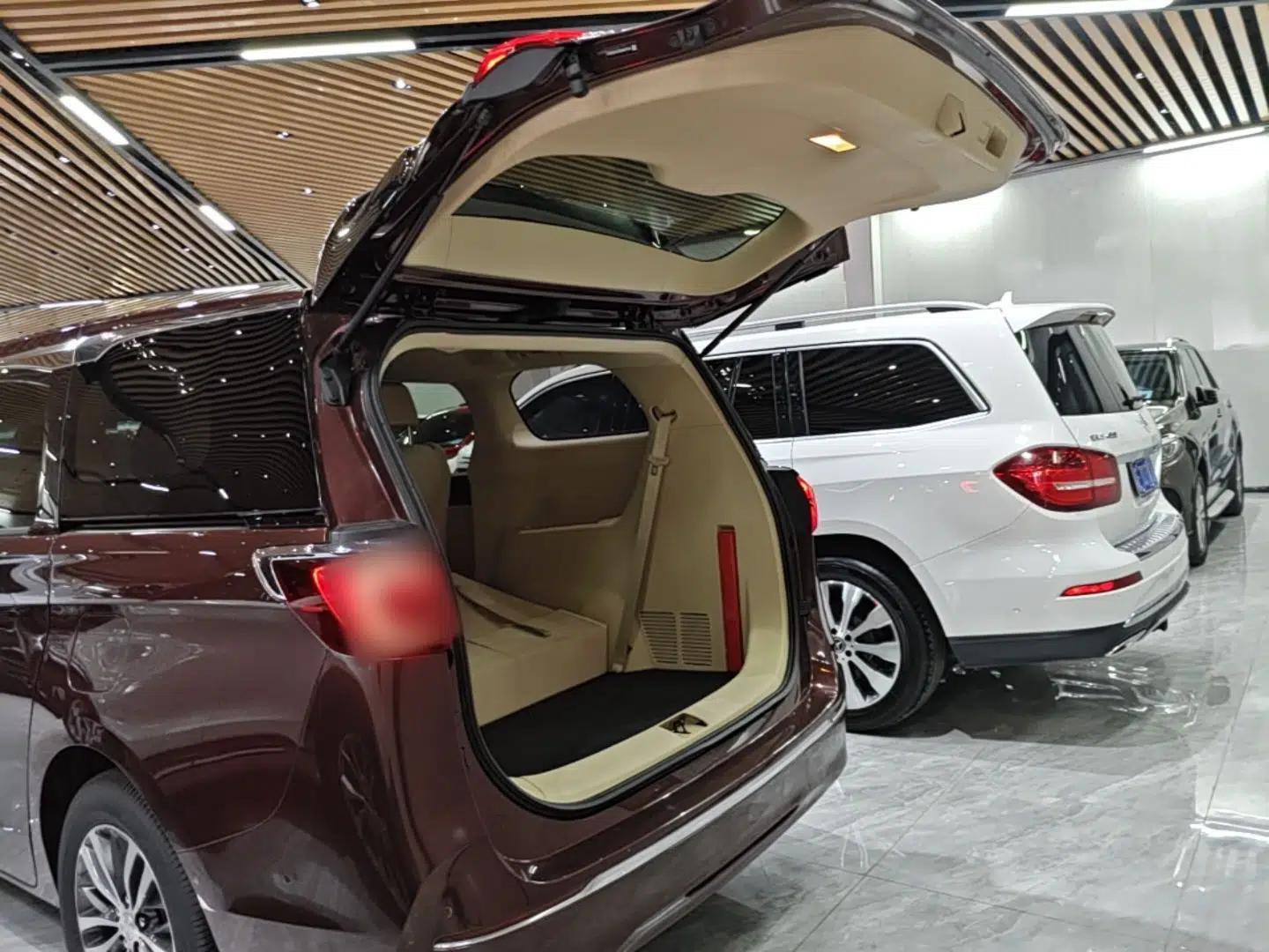 Buick GL8 2022 ES Landtrek 653T Luxury Edition — миниатюра 22