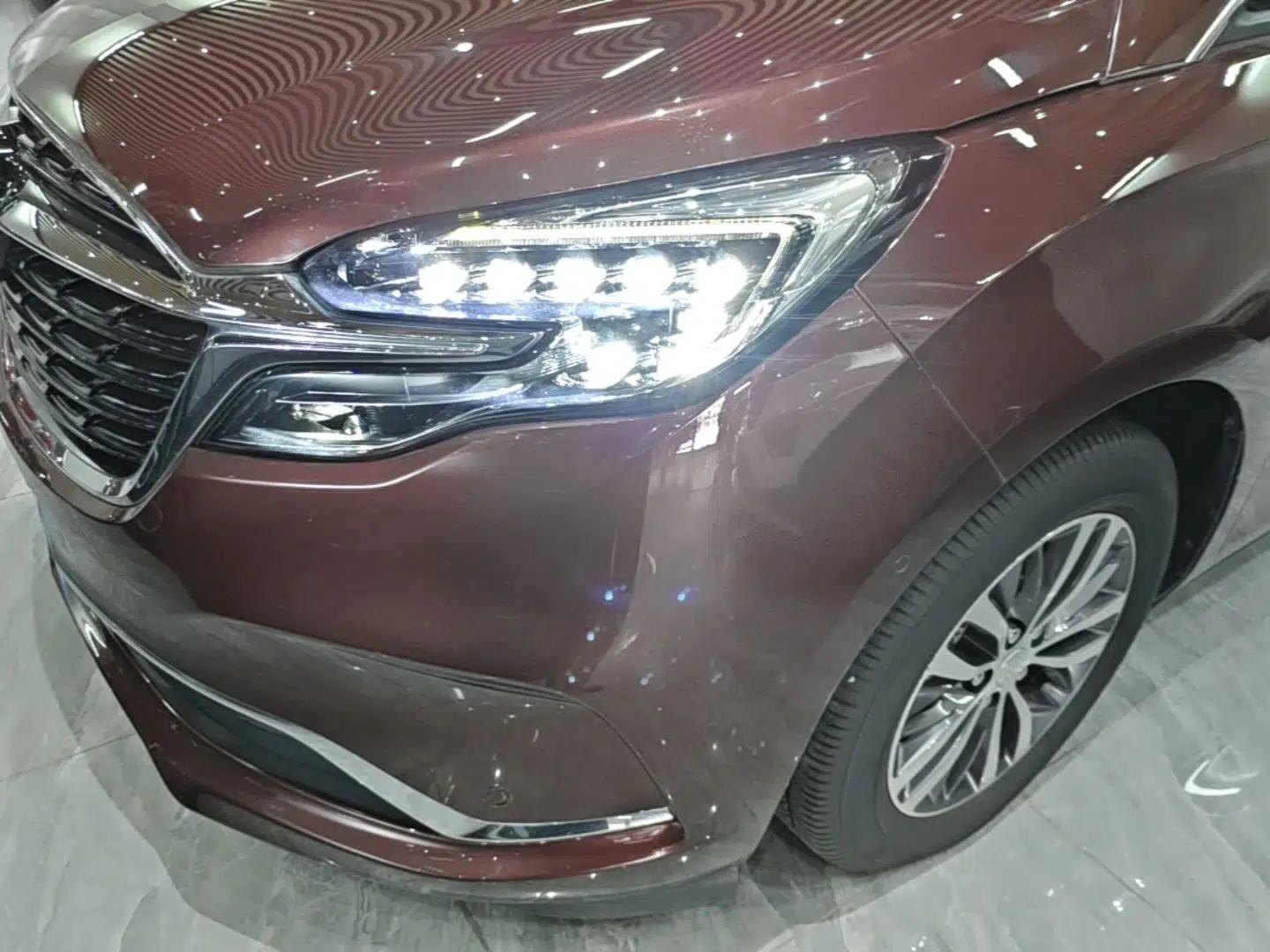 Buick GL8 2022 ES Landtrek 653T Luxury Edition — миниатюра 8