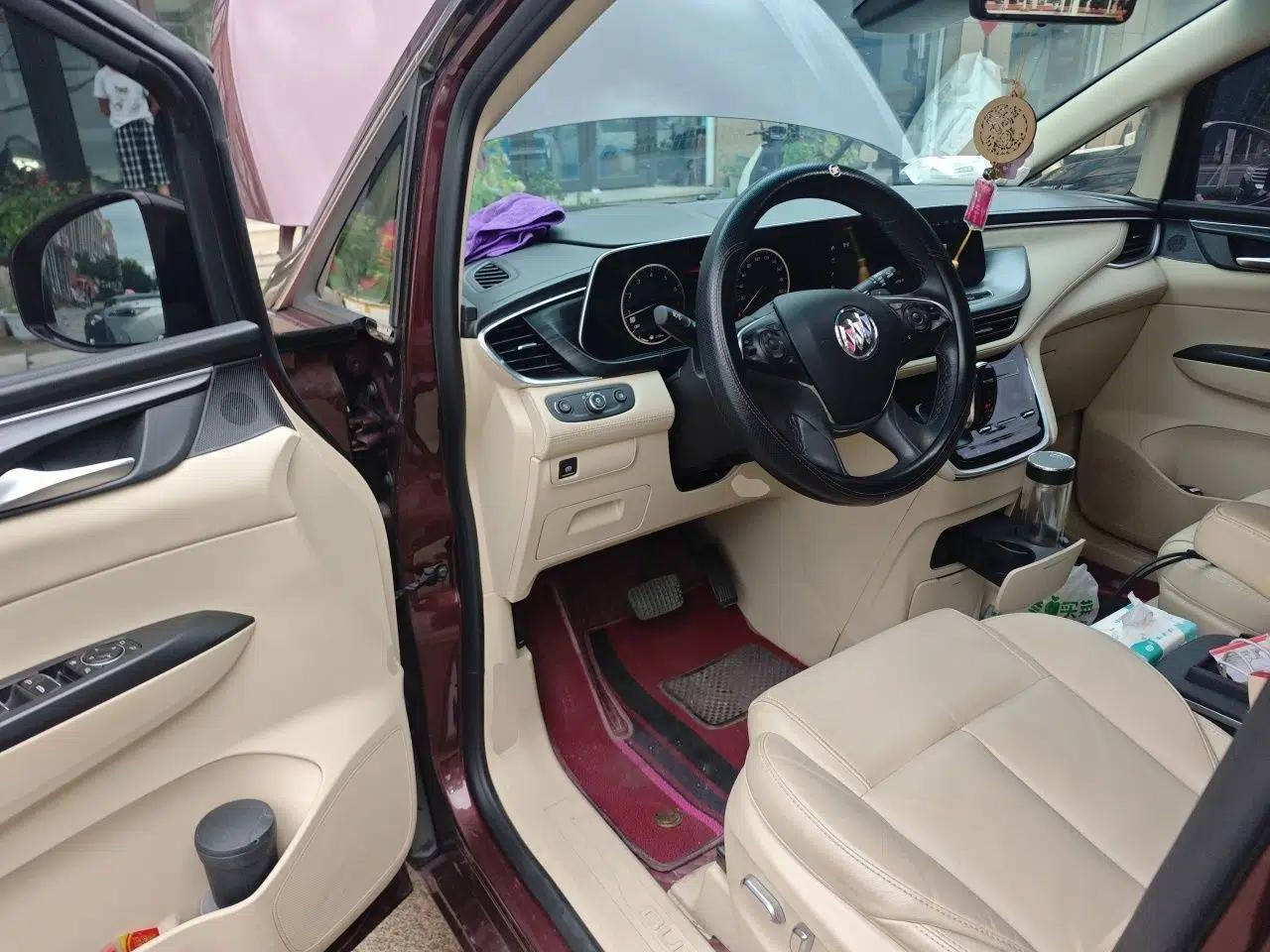 Buick GL8 2022 ES Landtrek 653T Luxury Edition — миниатюра 16