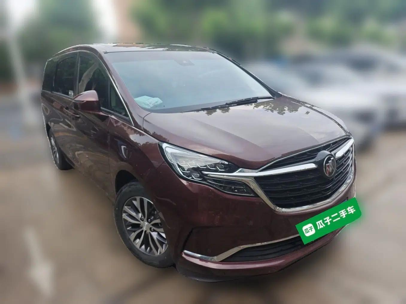 Buick GL8 2022 ES Landtrek 653T Luxury Edition — миниатюра 3