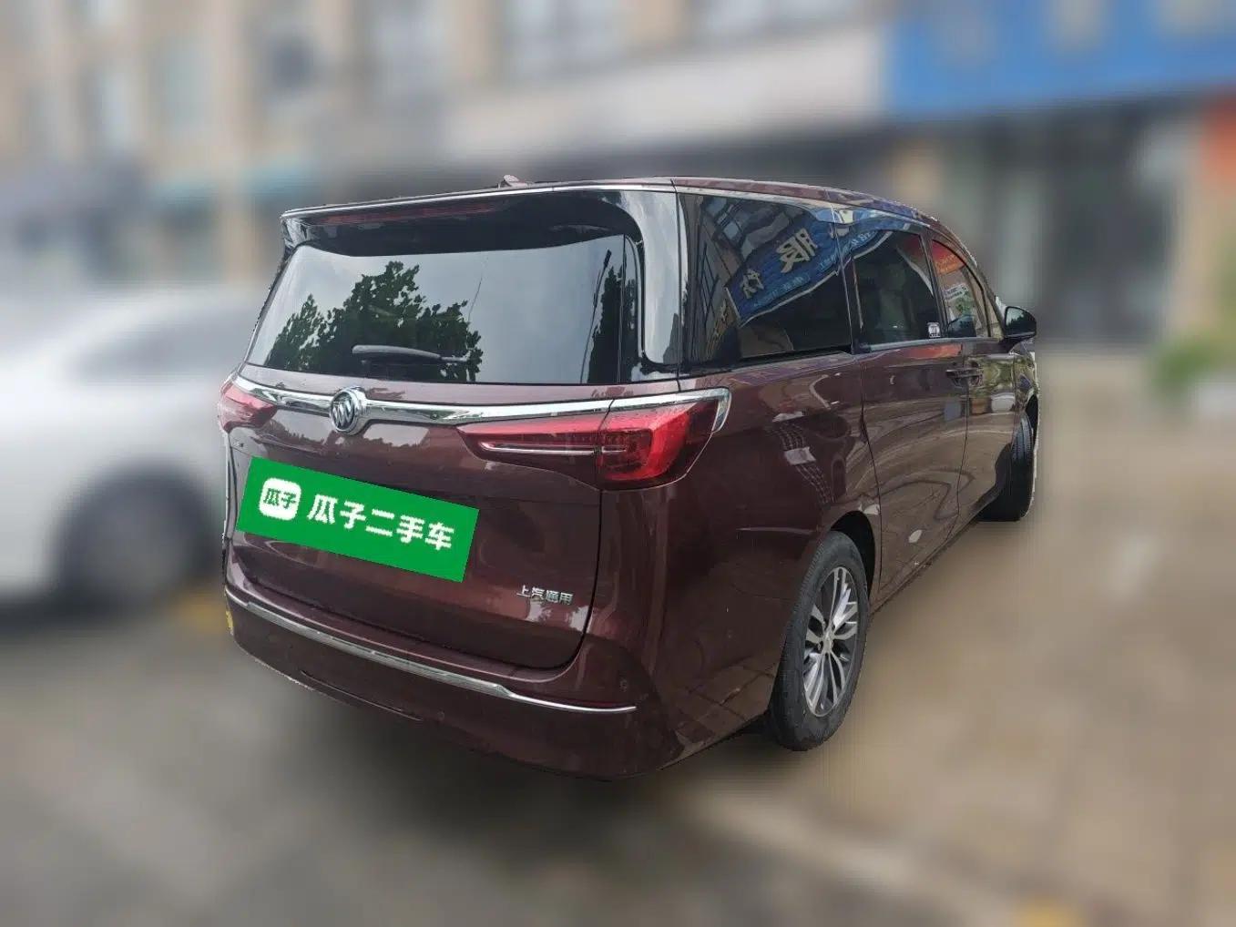Buick GL8 2022 ES Landtrek 653T Luxury Edition — миниатюра 6