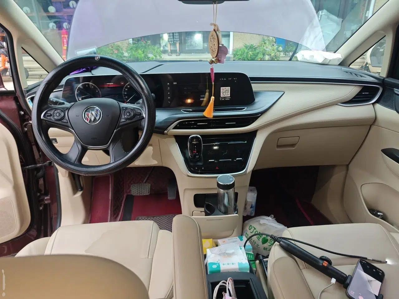 Buick GL8 2022 ES Landtrek 653T Luxury Edition — миниатюра 9