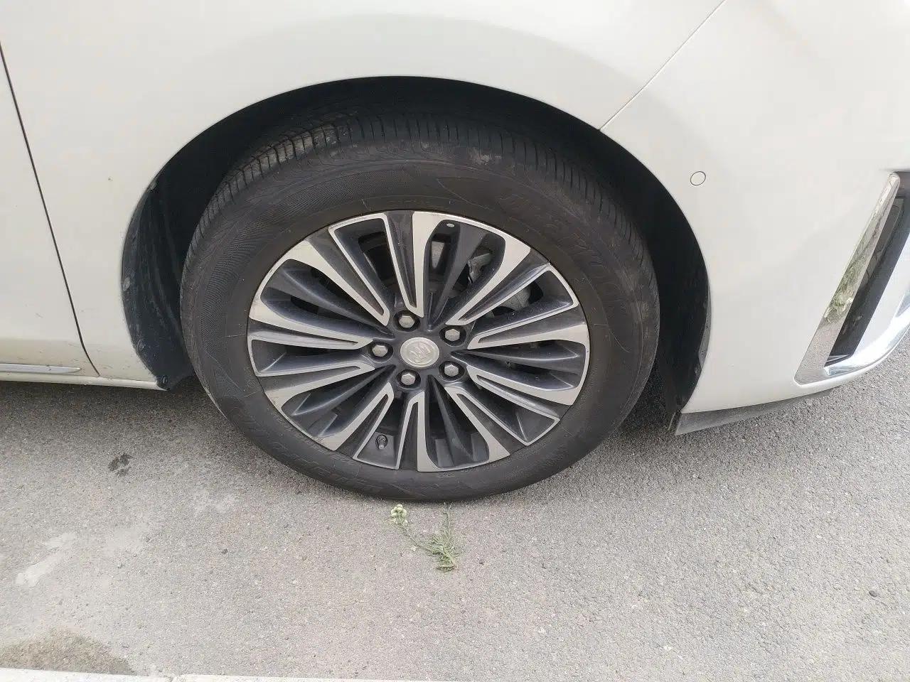 Buick GL8 2023 ES Lu Zun Luxury Model — миниатюра 8