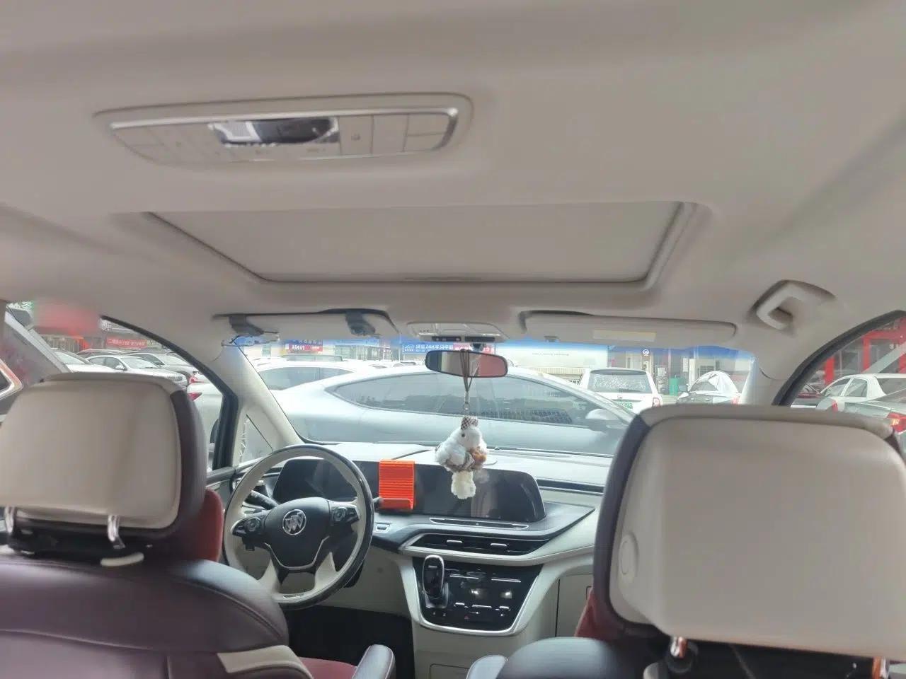 Buick GL8 2023 ES Lu Zun Comfort Model — миниатюра 18