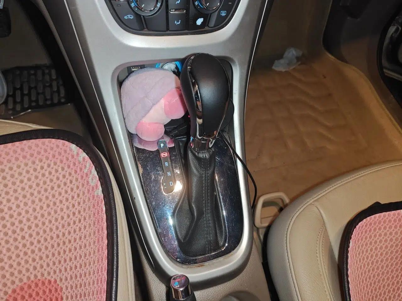 Buick GT 2010 GT 1.8L Automatic Luxury Edition — миниатюра 14