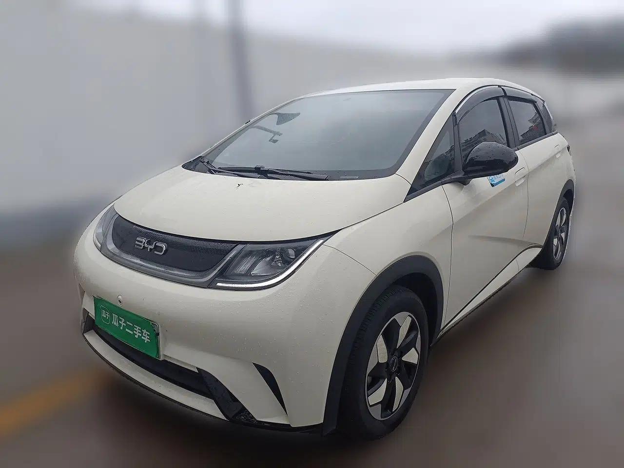 BYD Dolphin 2024 Honor Edition 420km Freedom Version — миниатюра 1