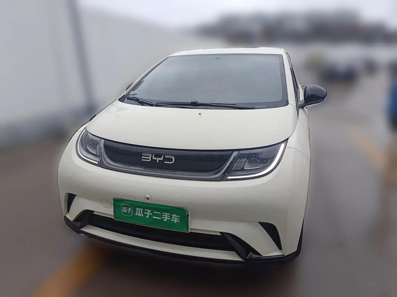 BYD Dolphin 2024 Honor Edition 420km Freedom Version — миниатюра 2