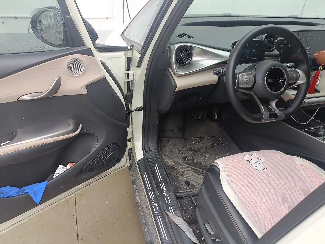 BYD Dolphin 2024 Honor Edition 420km Freedom Version — миниатюра 16