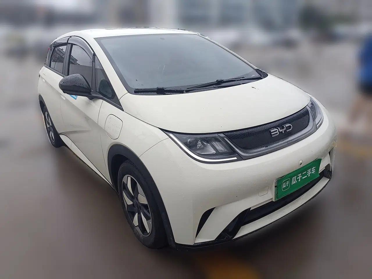 BYD Dolphin 2024 Honor Edition 420km Freedom Version — миниатюра 3