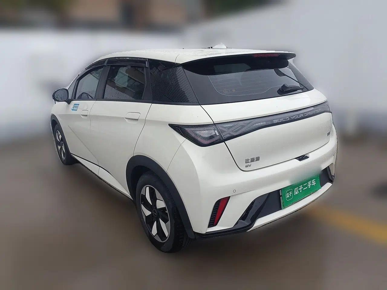BYD Dolphin 2024 Honor Edition 420km Freedom Version — миниатюра 4
