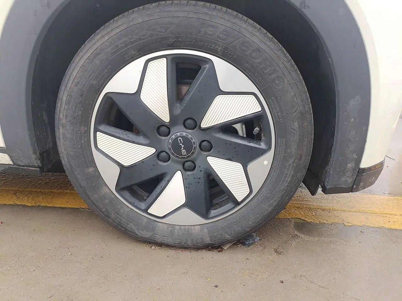 BYD Dolphin 2024 Honor Edition 420km Freedom Version — миниатюра 8