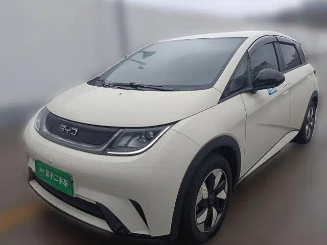 BYD Dolphin 2024 Honor Edition 420km Freedom Version