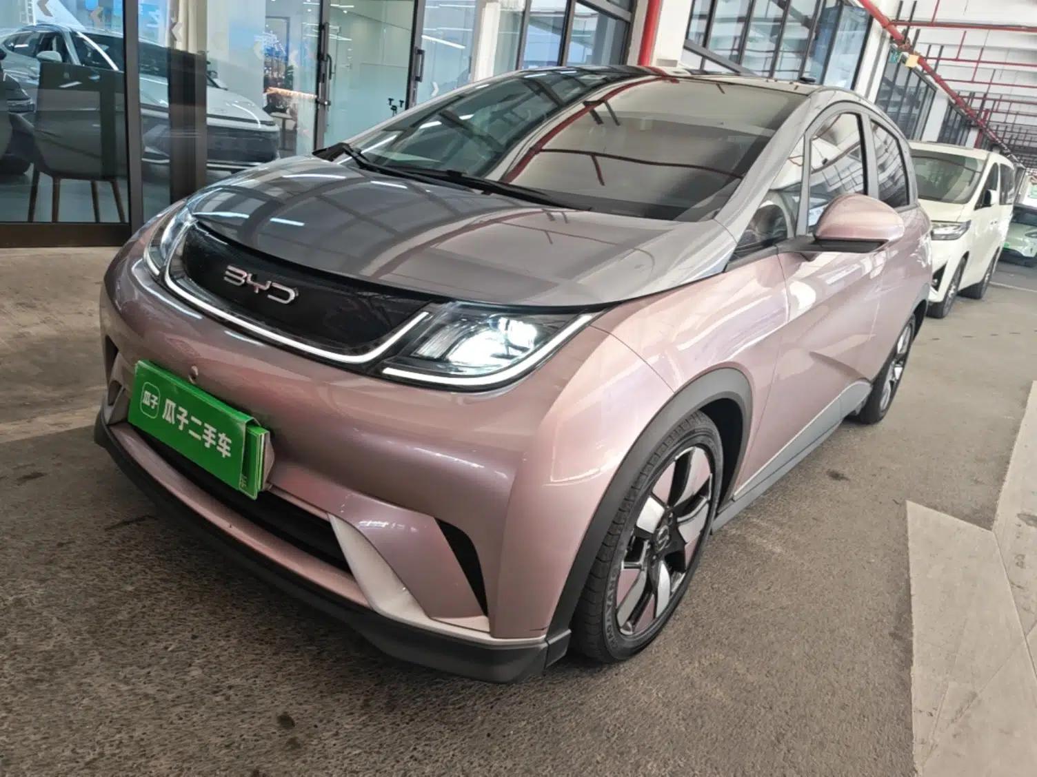BYD Dolphin 2021 401km Knight Edition — миниатюра 1