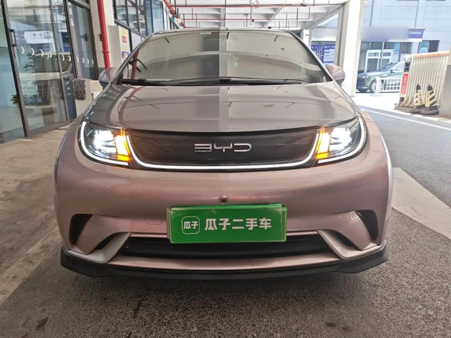 BYD Dolphin 2021 401km Knight Edition — миниатюра 2