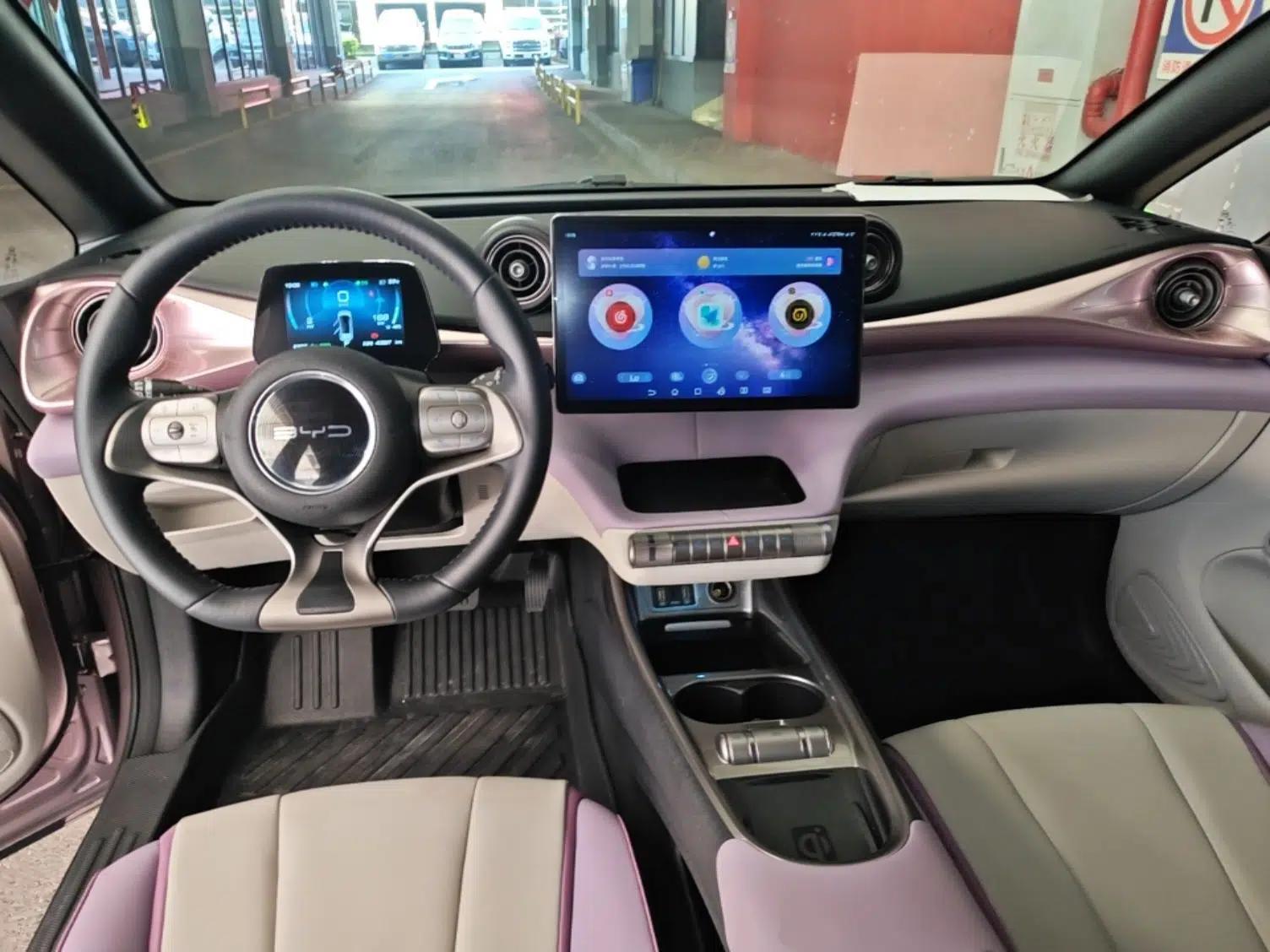 BYD Dolphin 2021 401km Knight Edition — миниатюра 12