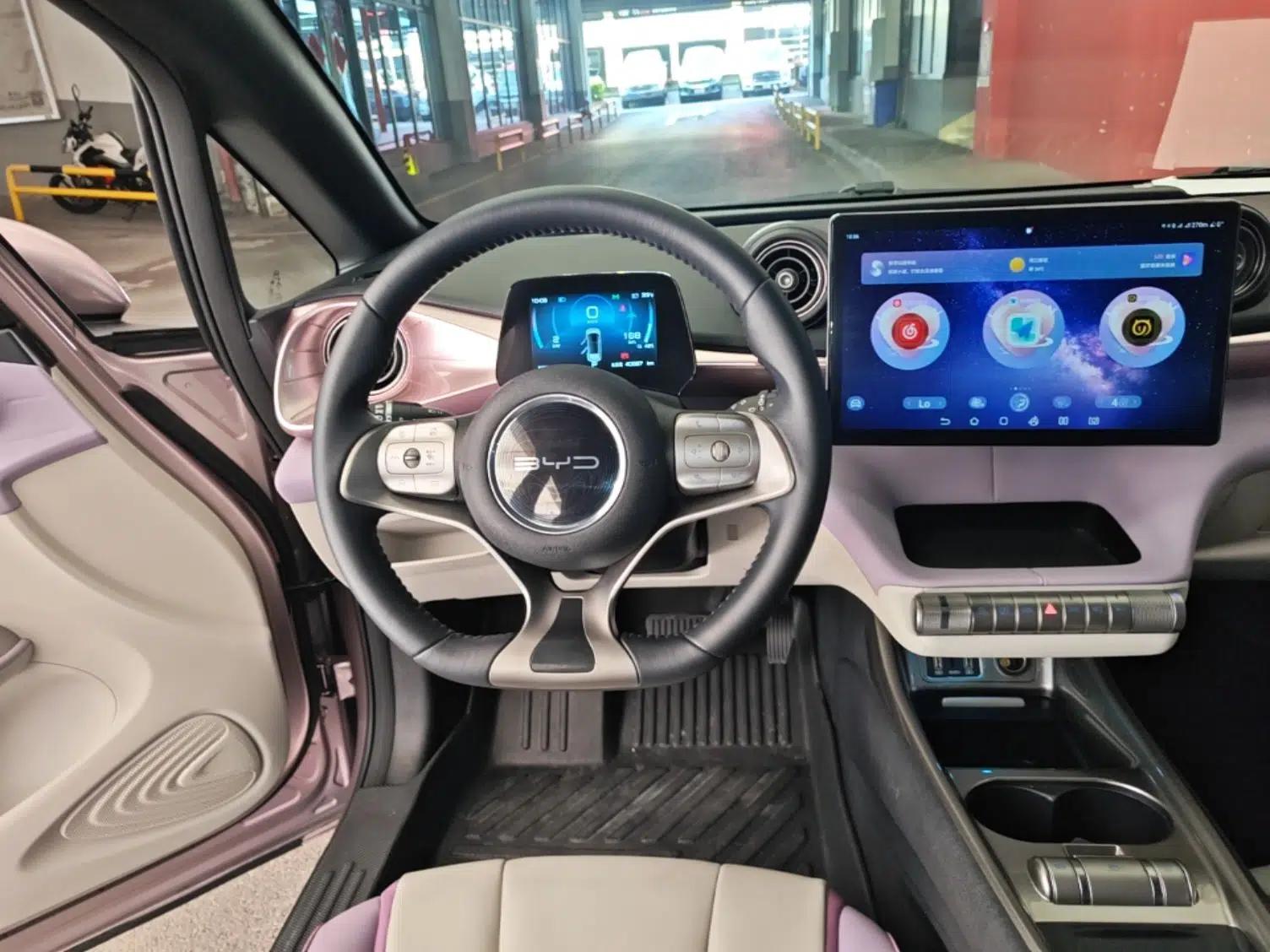 BYD Dolphin 2021 401km Knight Edition — миниатюра 13