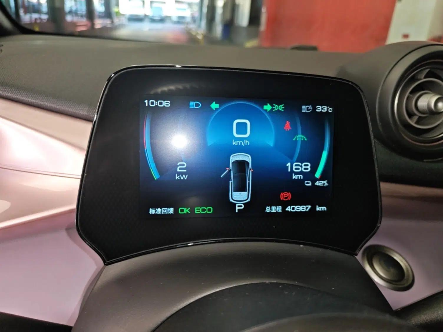 BYD Dolphin 2021 401km Knight Edition — миниатюра 14