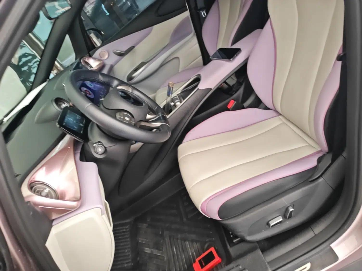 BYD Dolphin 2021 401km Knight Edition — миниатюра 17