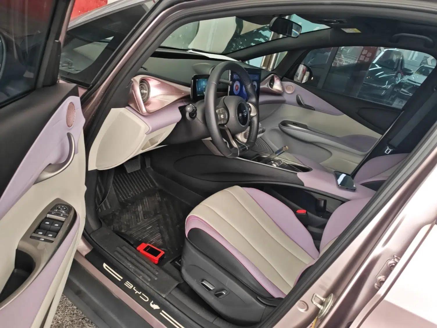 BYD Dolphin 2021 401km Knight Edition — миниатюра 18