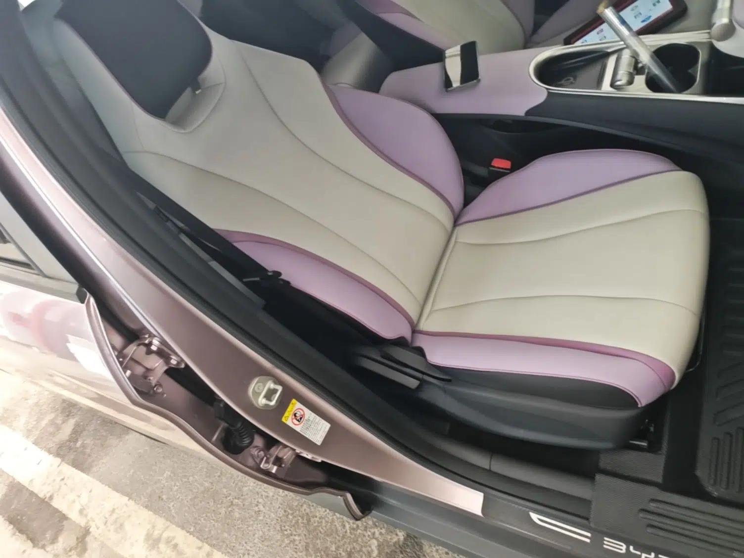 BYD Dolphin 2021 401km Knight Edition — миниатюра 19