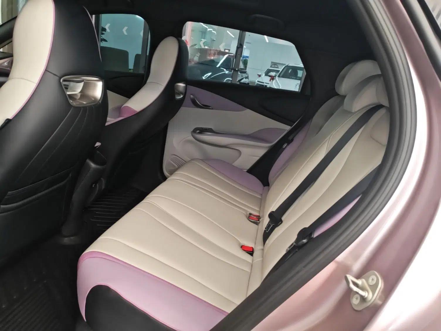BYD Dolphin 2021 401km Knight Edition — миниатюра 20