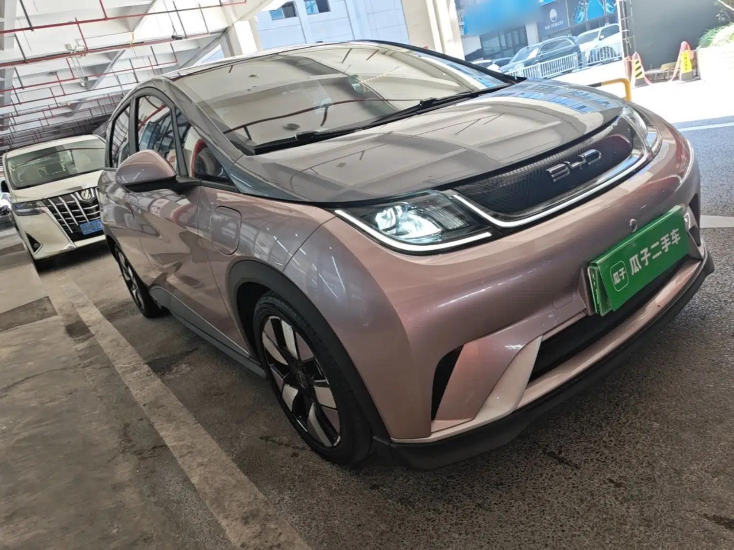 BYD Dolphin 2021 401km Knight Edition — миниатюра 3