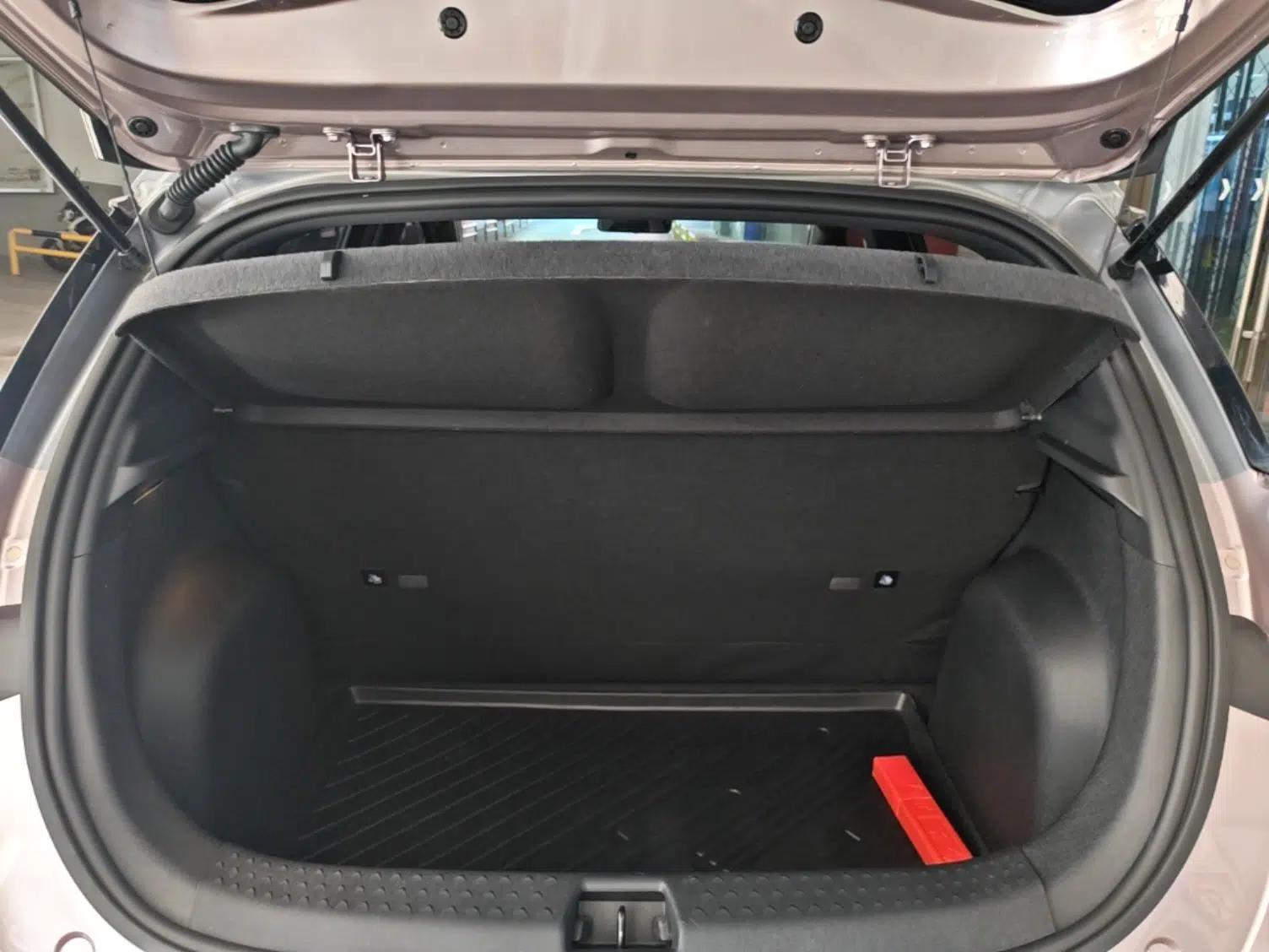 BYD Dolphin 2021 401km Knight Edition — миниатюра 22